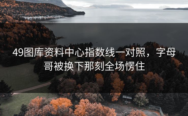 49图库资料中心指数线一对照，字母哥被换下那刻全场愣住
