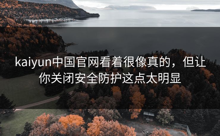 kaiyun中国官网看着很像真的，但让你关闭安全防护这点太明显